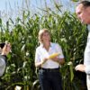 Leader of the state trial farm at Tystofte, Gerhard Deneken and former minister of agriculture Eva Kjer Hansen shows the story on GMO corn. Photo: Danish Ministry of Agriculture.